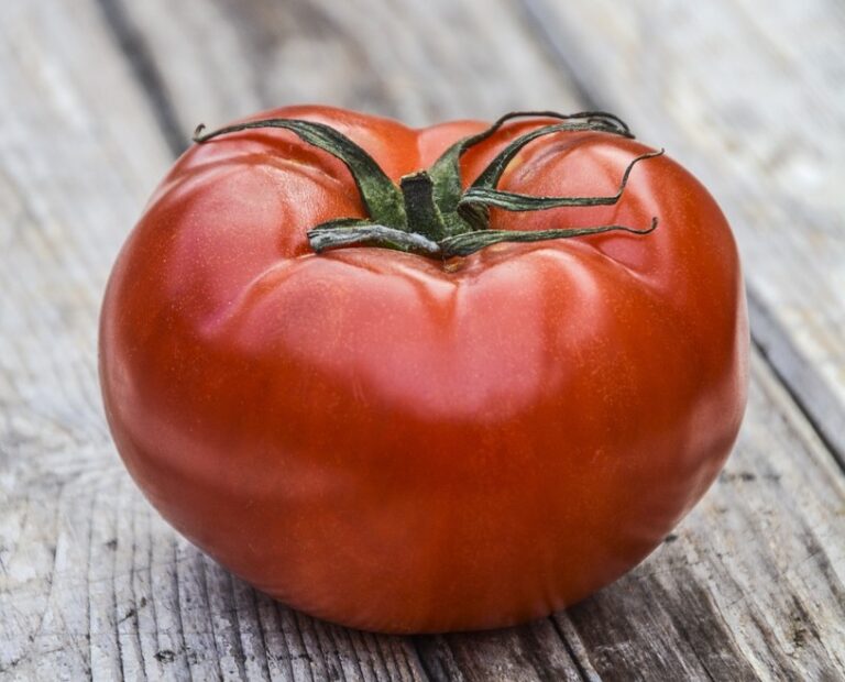 tomato-2282101_1280 copia